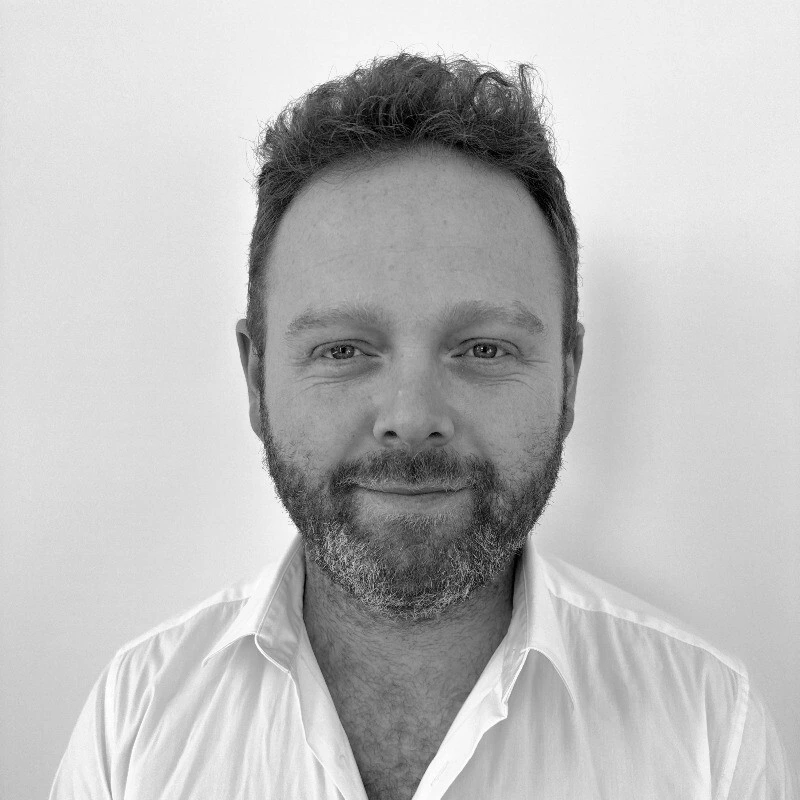 michael bergman