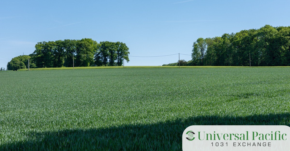 Open vacant land field held for investment and eligible for a 1031 exchange